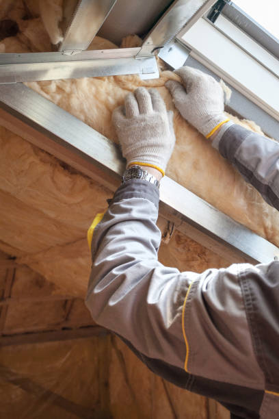 Best Spray Foam Insulation  in Waupun, WI